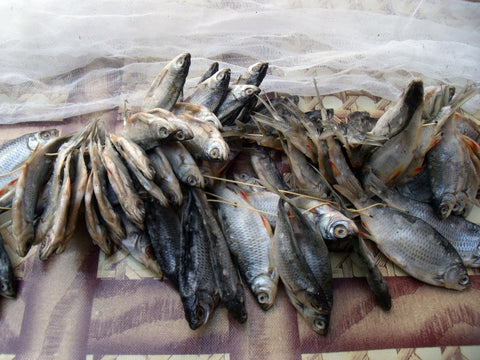 Salted dried fish (Rutilus rutilus)